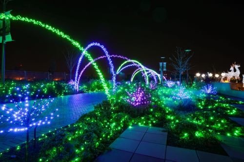 Colorful holiday lights create arching patterns over a garden, illuminating trees and pathways in a festive nighttime scene.