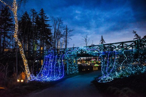 A bridge adorned with blue and white lights, surrounded by trees, under a twilight sky.