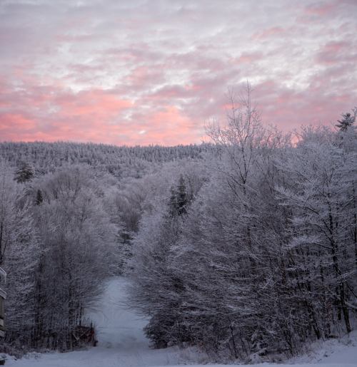 A snowy landscape with trees covered in frost, under a pink and purple sky at dawn.