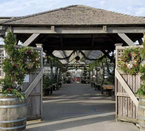 A wooden entrance with festive wreaths leads into a greenhouse filled with plants and greenery.