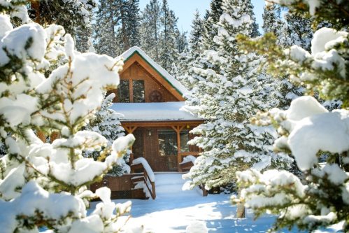 A cozy cabin surrounded by snow-covered trees in a winter landscape. Sunlight filters through the branches.