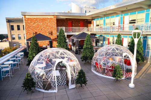 Two transparent igloo-style tents on a rooftop terrace, surrounded by greenery and modern seating arrangements.