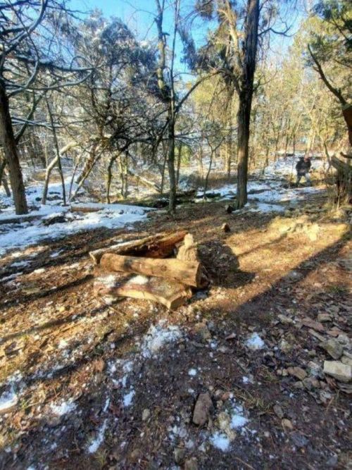 A wooded area with scattered snow, fallen logs, and trees casting long shadows on the ground.