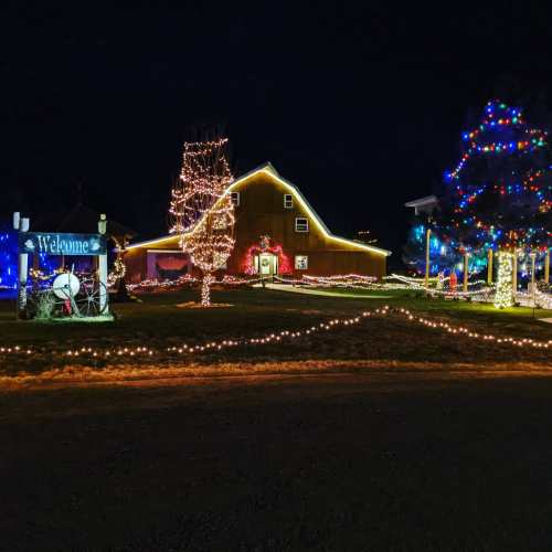 A festive scene featuring a warmly lit barn and trees adorned with colorful holiday lights.