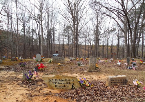 A serene cemetery with gravestones and colorful flowers, surrounded by bare trees in a peaceful, wooded area.