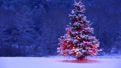 A snow-covered Christmas tree adorned with colorful lights, set against a winter landscape.
