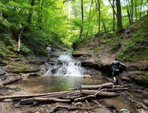 Two people explore a lush green forest with a small waterfall and stream, surrounded by rocks and fallen logs.