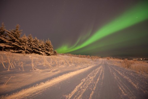 A snowy landscape with a winding path under a vibrant green aurora borealis in the night sky.