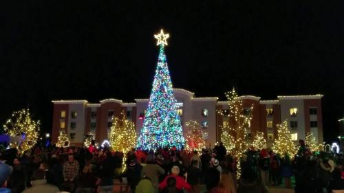 A large, brightly lit Christmas tree stands in front of a building, surrounded by a crowd and festive lights.