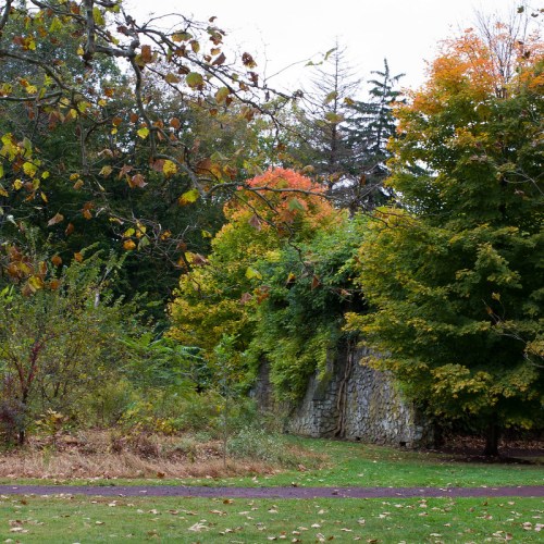 A stone wall partially covered by vibrant green and orange foliage, surrounded by trees in a park setting.