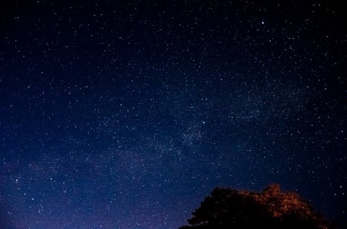 A clear night sky filled with stars, with a silhouette of trees at the bottom.