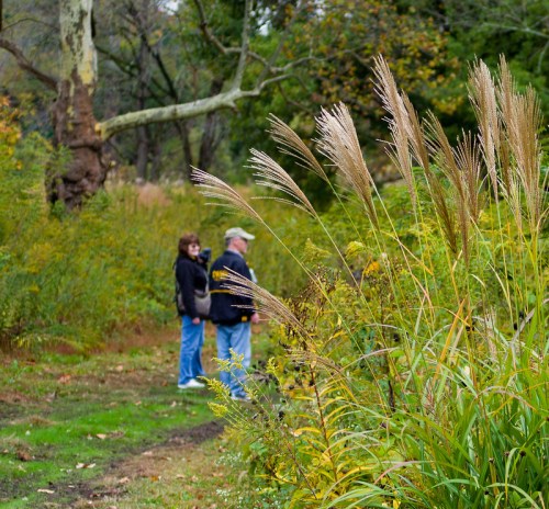 A couple stands on a path in a lush, green park, surrounded by tall grasses and autumn foliage.