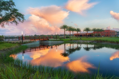 A serene landscape featuring a pond reflecting colorful clouds and palm trees, with a building in the background.