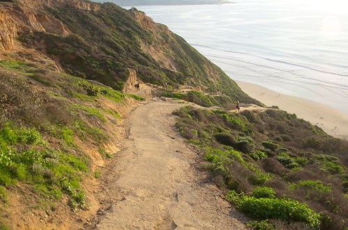 A winding dirt path leads down a hillside covered in greenery, overlooking a serene beach and ocean.