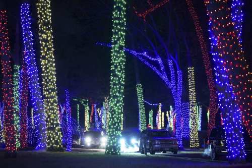 Colorful trees wrapped in vibrant holiday lights illuminate a nighttime scene, with cars driving through.