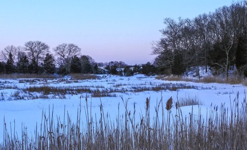 A serene winter landscape with snow-covered fields, tall grasses, and bare trees under a soft pastel sky.