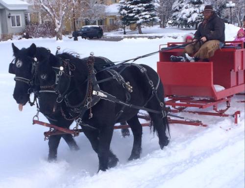 A man drives a horse-drawn sleigh through snow, with children sitting in the back, surrounded by winter scenery.