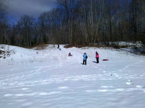 Children playing in the snow, sledding down a hill surrounded by bare trees and a clear blue sky.