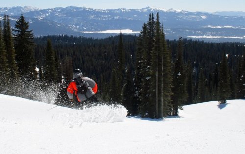 A skier in an orange shirt carves through fresh snow, surrounded by tall pine trees and mountains in the background.