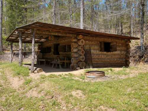 A rustic log cabin with a covered porch, surrounded by trees and a fire pit in a grassy area.