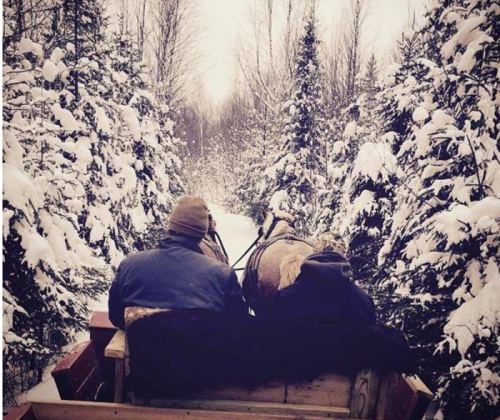 Two people in a sled pulled by horses, surrounded by snow-covered trees in a winter landscape.