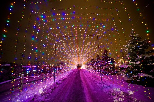 A snowy road lined with colorful holiday lights creating a vibrant tunnel effect.