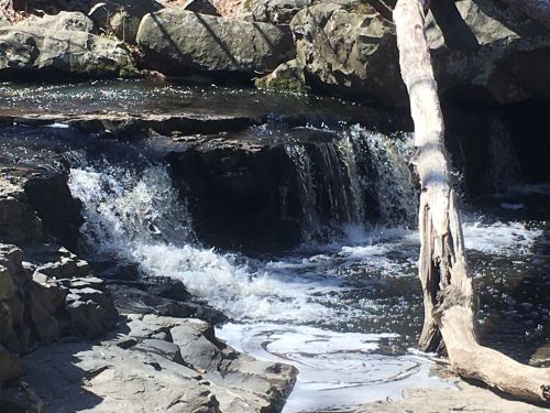 A serene waterfall cascades over rocky terrain, surrounded by natural greenery and a fallen tree.