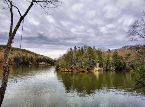 A serene lake surrounded by trees under a cloudy sky, with a rope swing hanging from a tree branch.