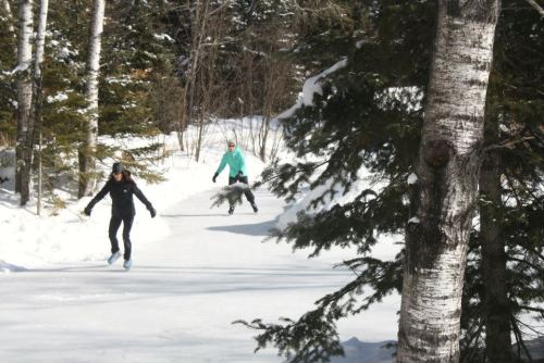 Two people ice skating on a snowy path surrounded by trees in a winter landscape.