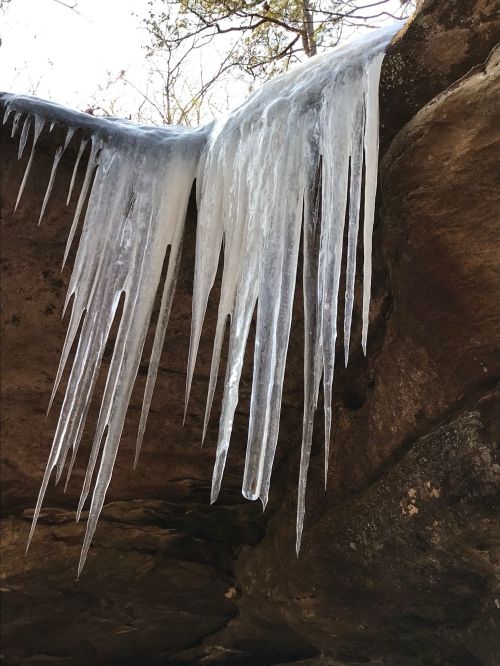 Icicles hanging from a rocky overhang, glistening in the sunlight against a backdrop of trees.