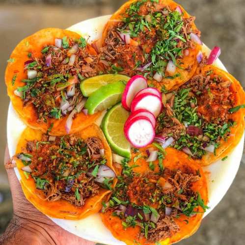 A plate of six tacos topped with shredded meat, onions, cilantro, and lime, garnished with radish slices.