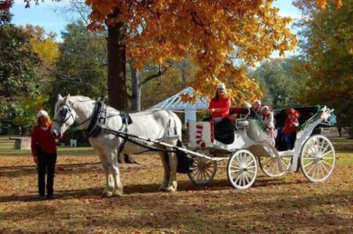 A white horse pulls a festive carriage with people in red outfits, surrounded by colorful autumn leaves.