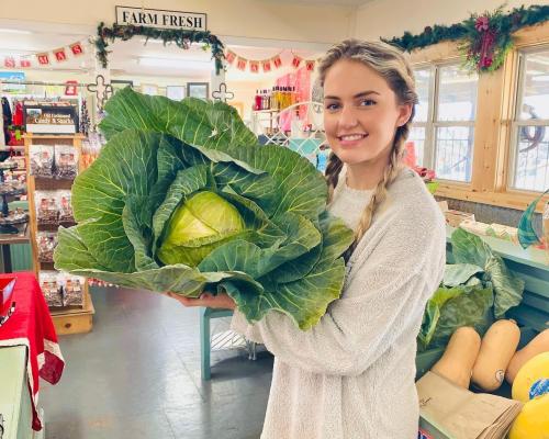 A smiling woman holds a large cabbage in a farm store decorated for the holidays.
