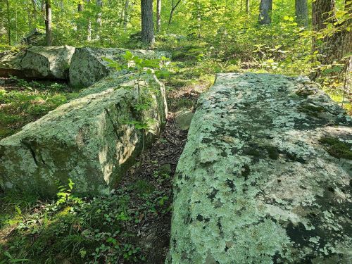 Two large, moss-covered rocks in a lush green forest with sunlight filtering through the trees.