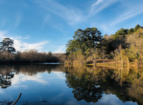 A serene lake surrounded by trees, reflecting the blue sky and clouds on a calm day.