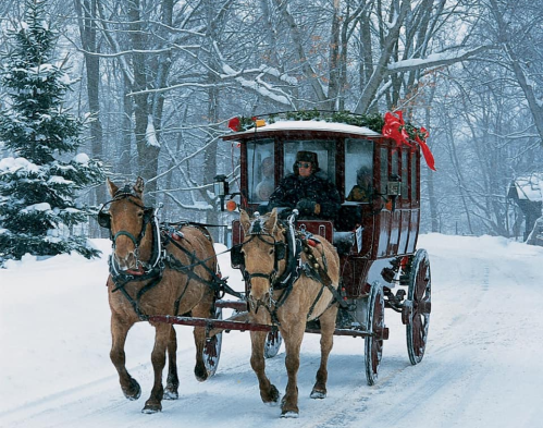 A horse-drawn carriage decorated for the holidays travels through a snowy landscape with trees in the background.