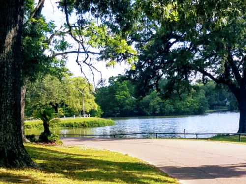 A serene lakeside view with lush green trees and a peaceful pathway along the water's edge.