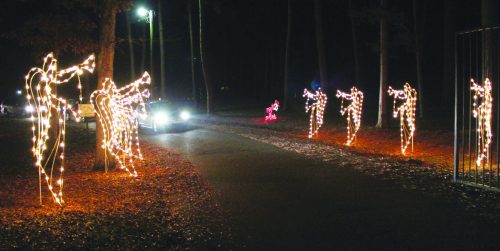 A nighttime scene featuring illuminated angel figures along a tree-lined path, with a car approaching in the background.