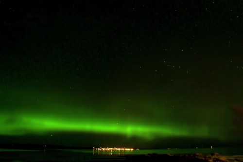 A vibrant green aurora borealis dances across a dark night sky over a calm body of water, with distant lights on the shore.