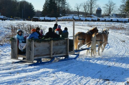 A horse-drawn sleigh carries children through a snowy landscape, surrounded by trees and a farm in the background.