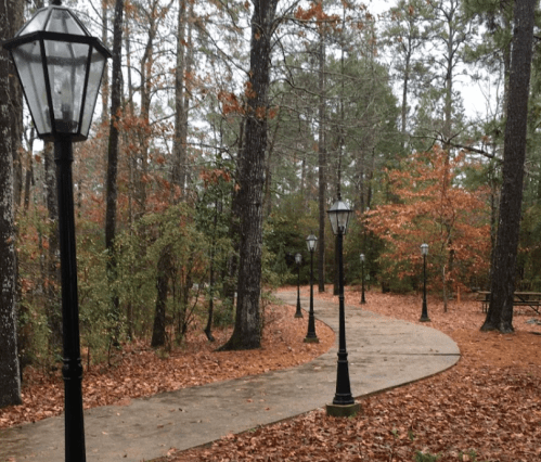 A winding path through a wooded area, lined with vintage street lamps and surrounded by autumn foliage.