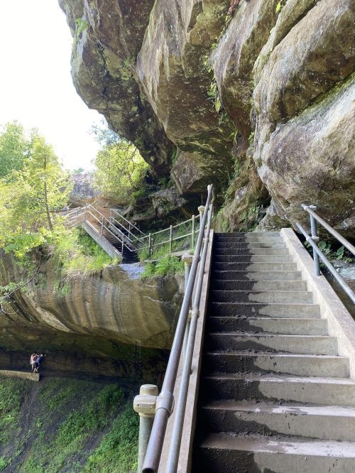 A stone staircase leads up through a rocky landscape, surrounded by greenery and a cliff overhead.