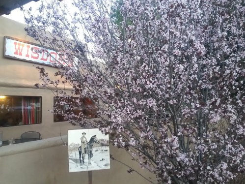 A flowering tree in front of a building with a sign reading "Wisdom" and a vintage illustration of a cowboy.