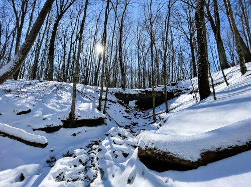 A snowy landscape with bare trees and a sun shining through, highlighting a rocky creek bed in a winter forest.