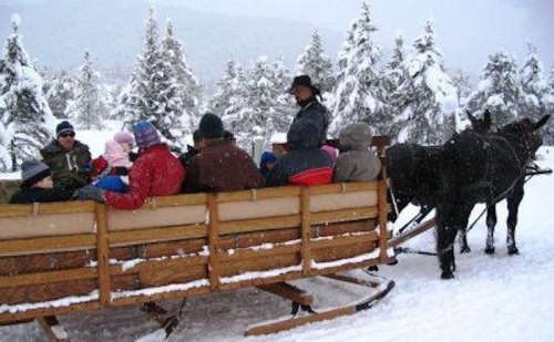 A horse-drawn sleigh carries a group of people through a snowy landscape with trees covered in snow.