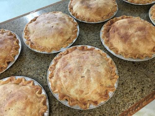 A row of freshly baked apple pies in silver pie tins on a granite countertop.