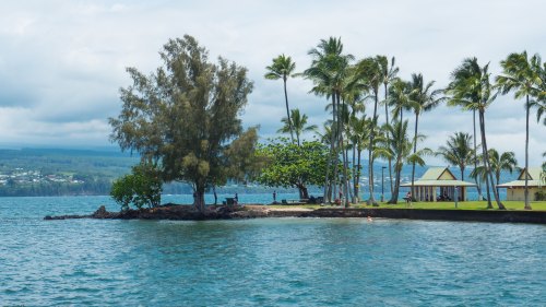 A serene coastal scene with palm trees, a sandy shore, and a calm blue ocean under a cloudy sky.