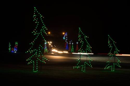 Colorful holiday lights decorate trees along a dark road, with car headlights illuminating the scene.