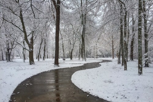 A foggy landscape with blurred trees in the background and a winding path leading into the distance.