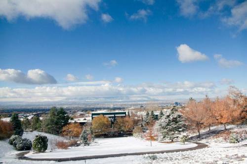 A snowy landscape with trees and a clear blue sky, overlooking a valley and distant mountains.